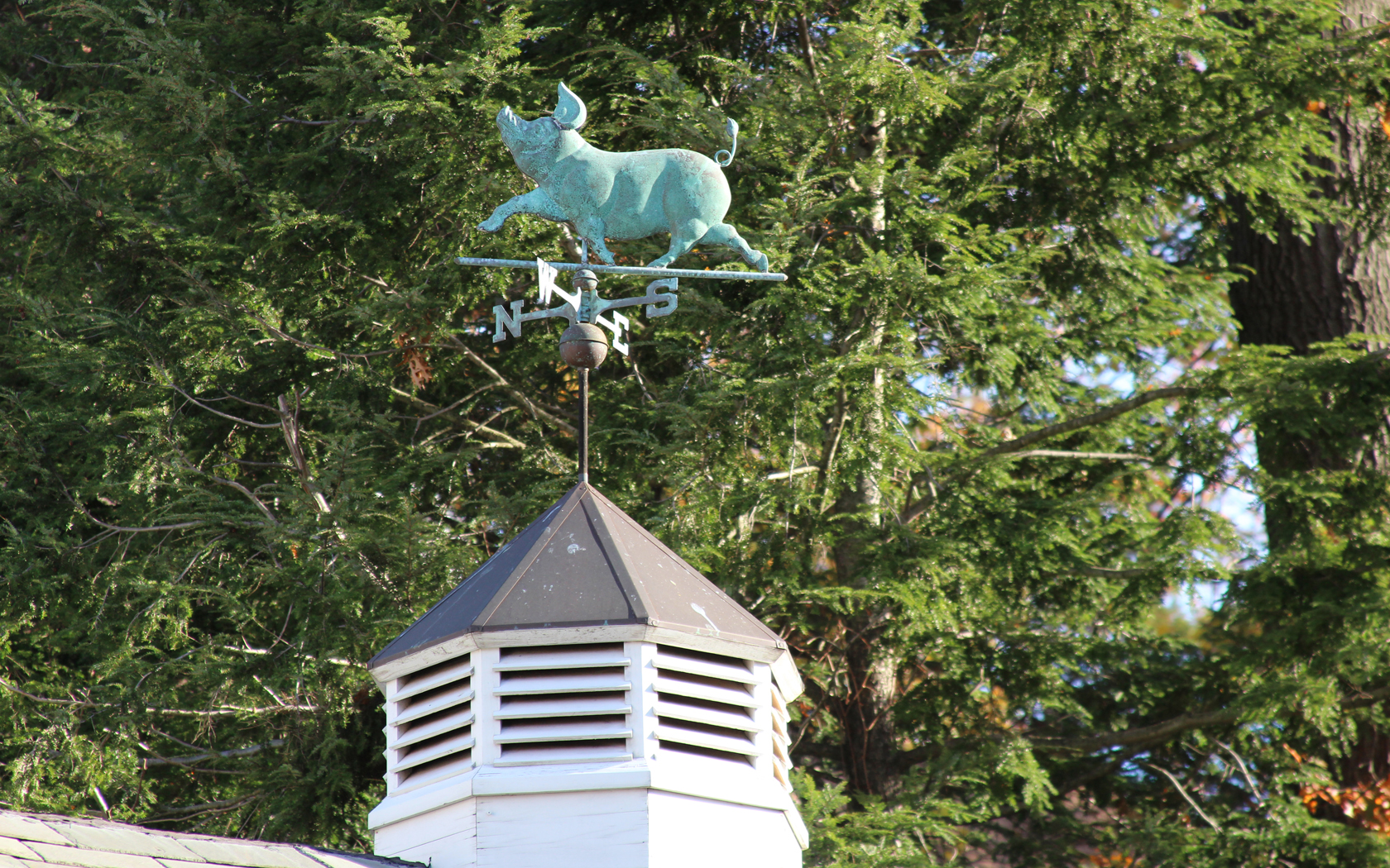 Weather Vane - Pelham Manor, NY